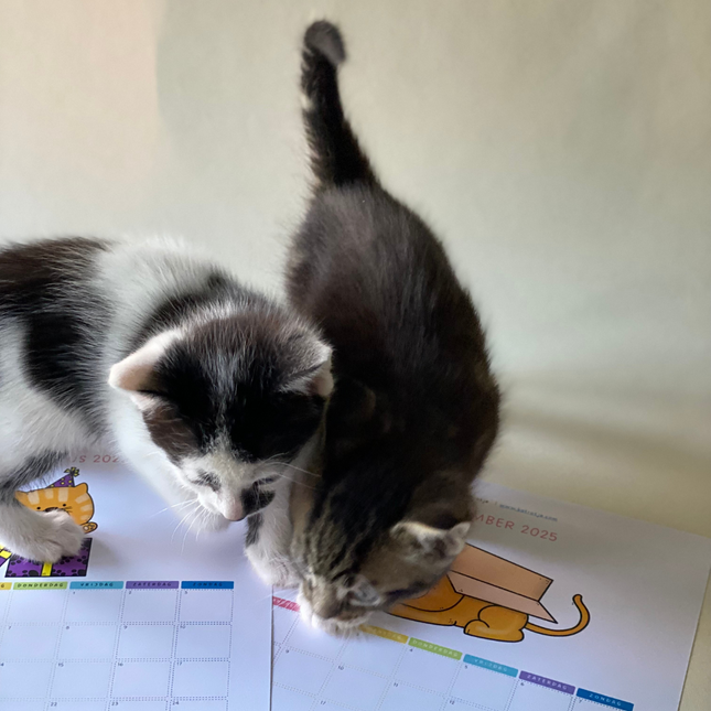 maandkalender schooljaar 2025-2026