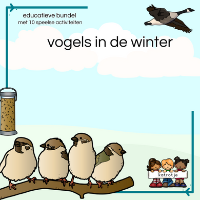 vogels in de winter