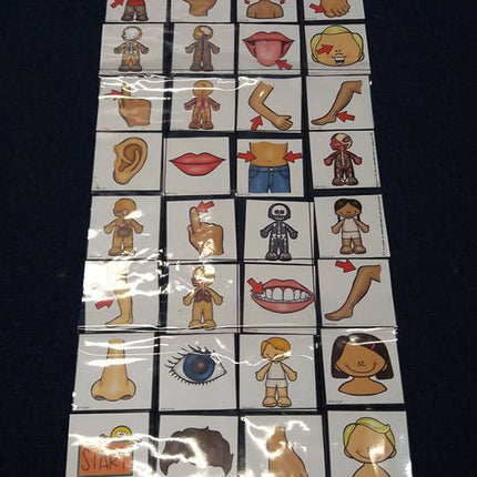 met de robotmuis het lichaam ontdekken