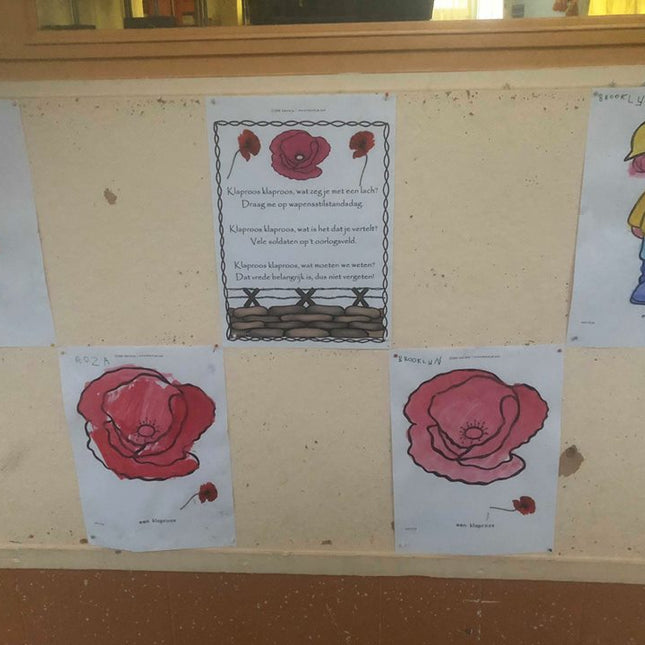 katrotje staat stil bij 11 november