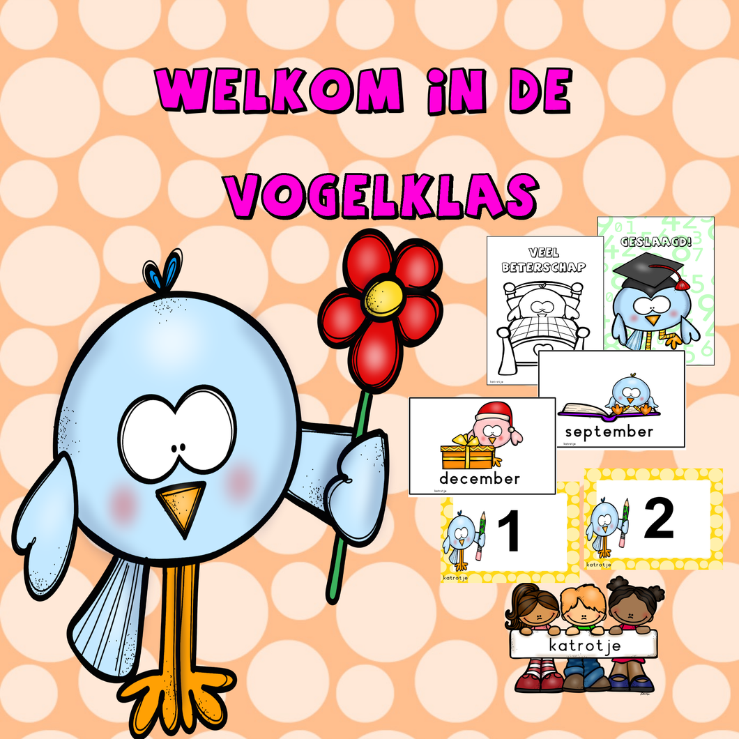 welkom in de vogelklas