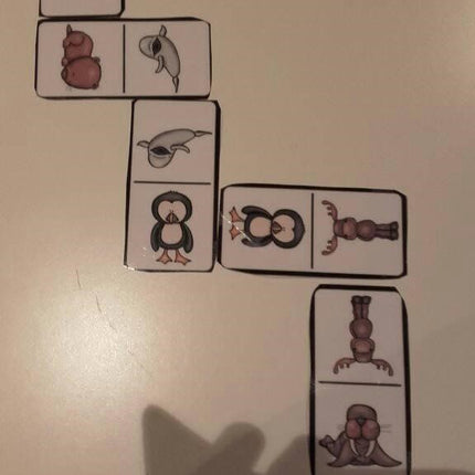 dieren op de noordpool