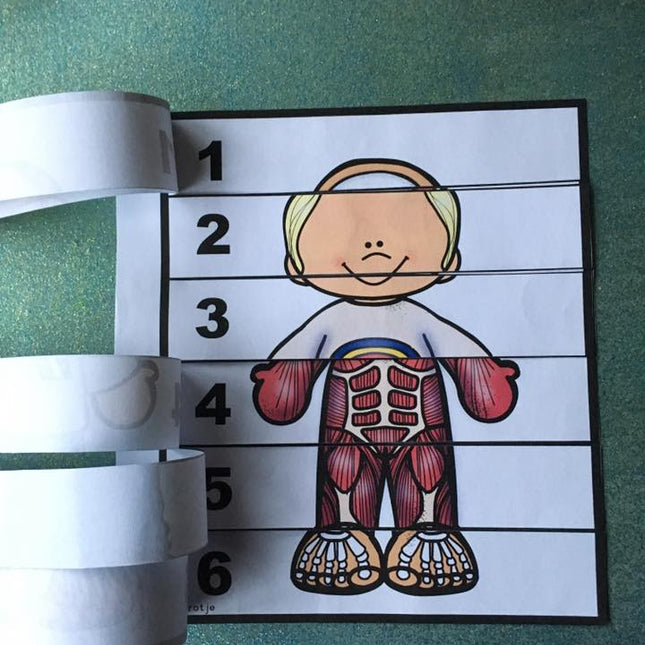 een kijkje in het lichaam