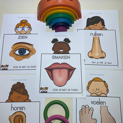 ik ontdek mijn zintuigen mega bundel