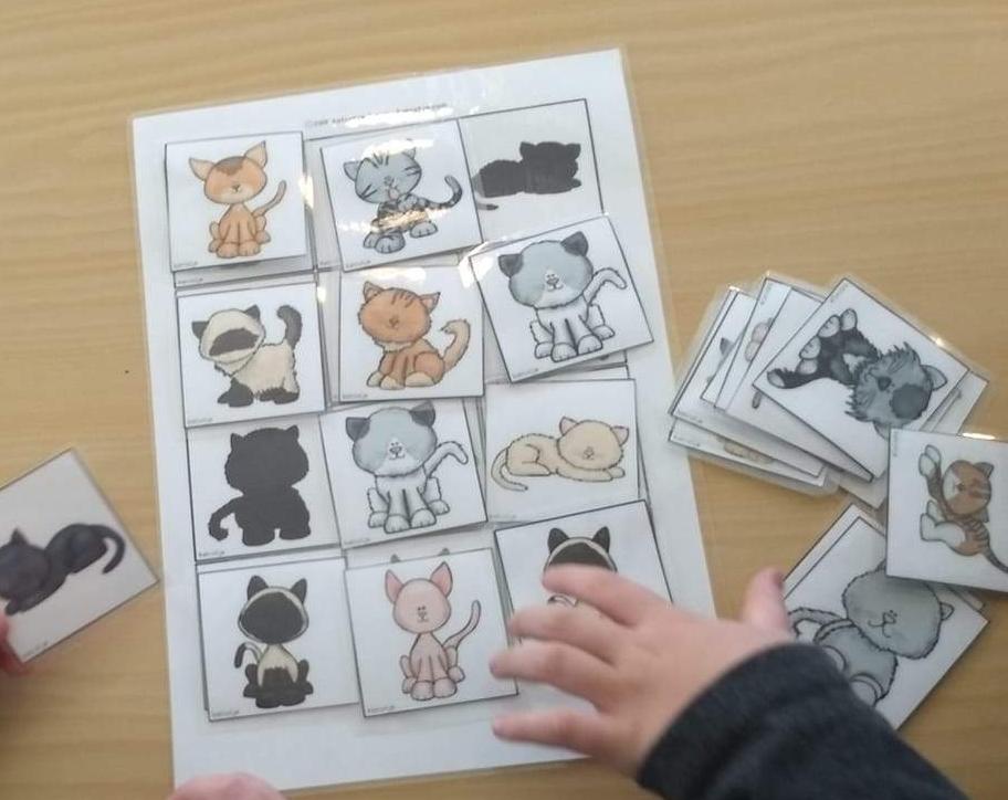 mini-thema-de-poes-katrotje