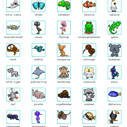 naamkaartjes en symboolkaartjes met speciale dieren (groene rand)