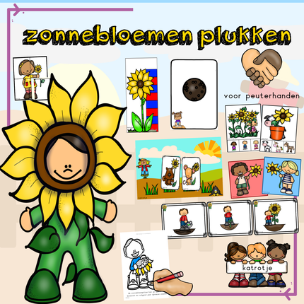 zonnebloemen plukken voor peuterhanden