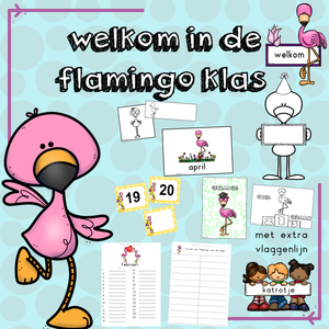 welkom in de flamingo klas